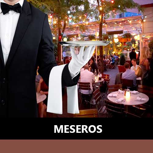 meseros
